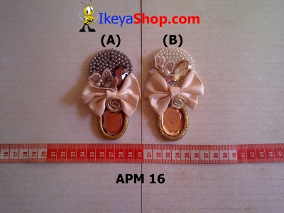 APM 16  large2